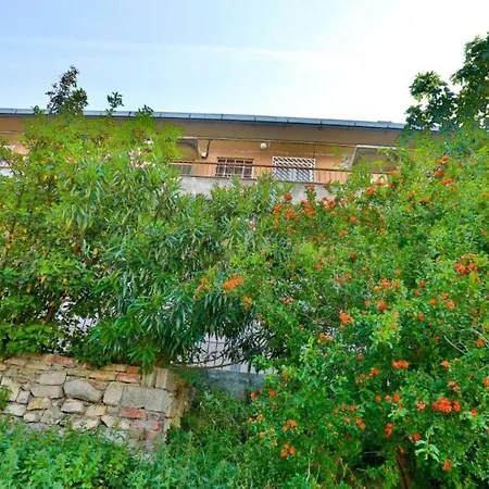 Apartment Sunny With Free Private Parking *
